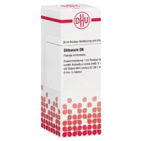 OLIBANUM D 6 Dilution