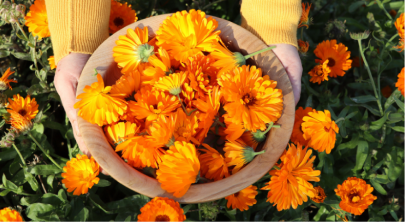 Anzeige: Monatsaktion, Frisch aufgeblüht, Weil sich Gesundheit wie Frühling anfühlen darf.