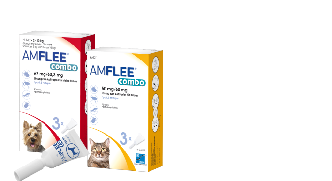 Anzeige: AMFLEE® combo, Wirkt gegen Zecken, Haarlinge, Flöhe & deren Eier Für Hund und Katze Lösung zum Auftropfen  anwenderfreundliche Pipette
